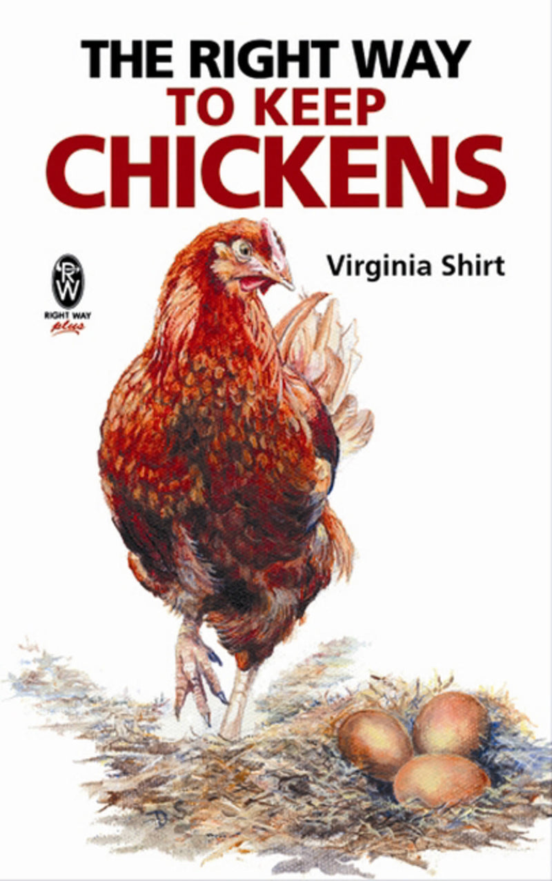 Right Way To Keep Chickens