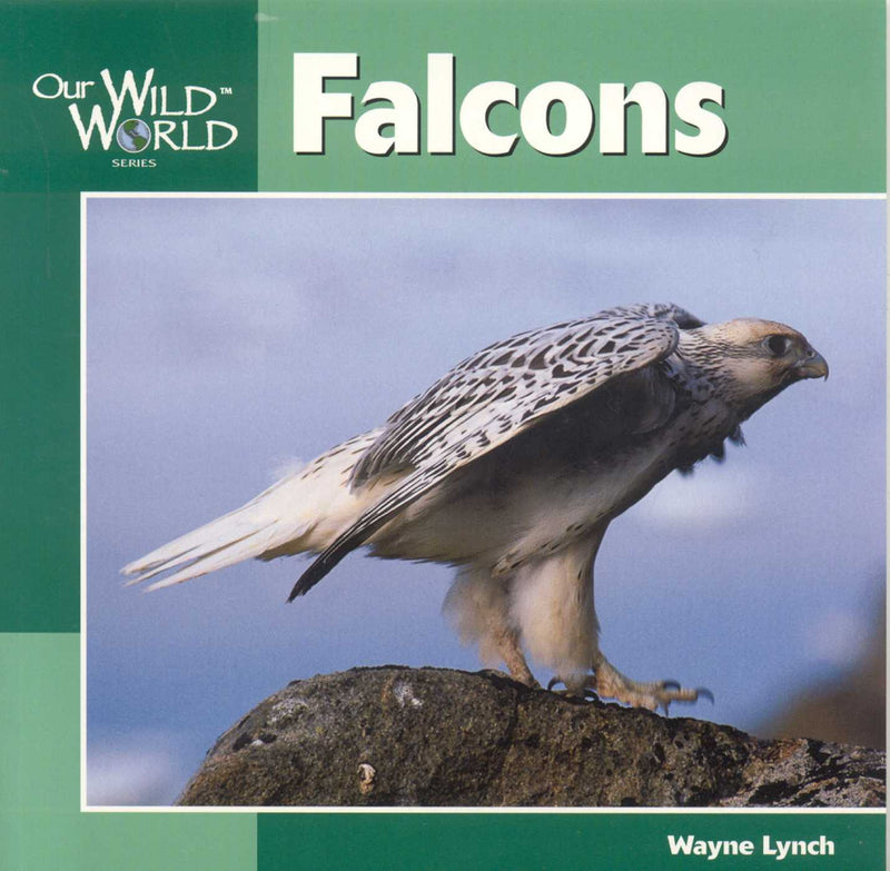 Our Wild World