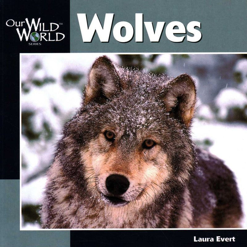 Our Wild World