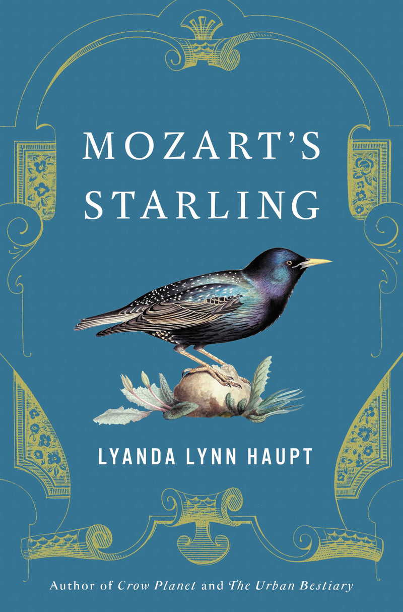 Mozart's Starling