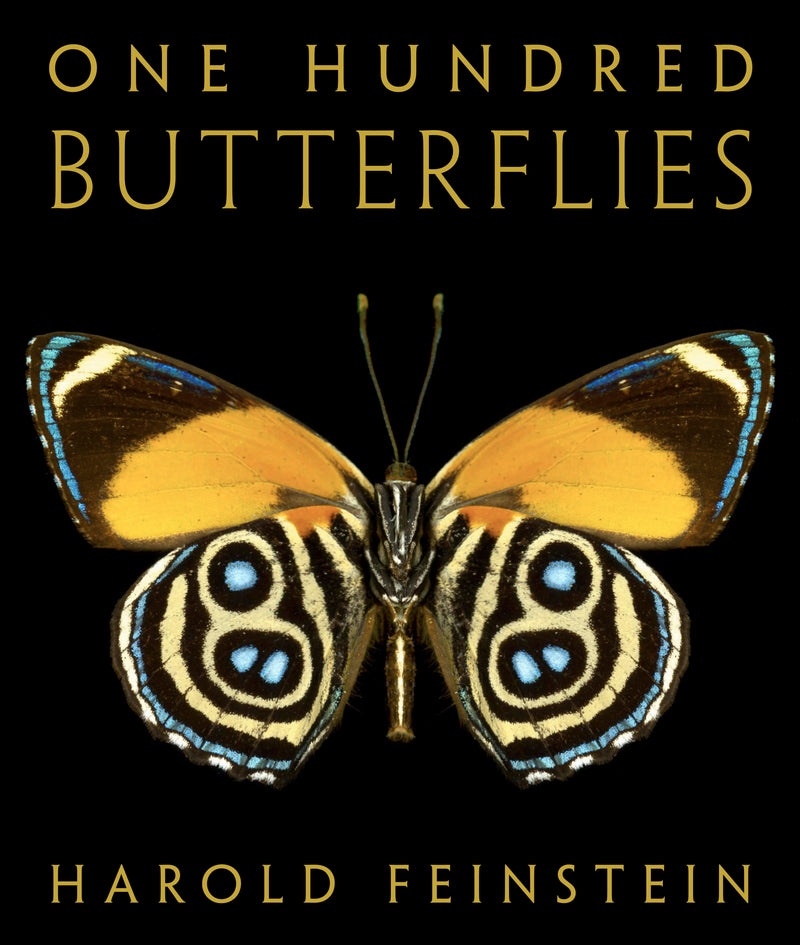 One Hundred Butterflies