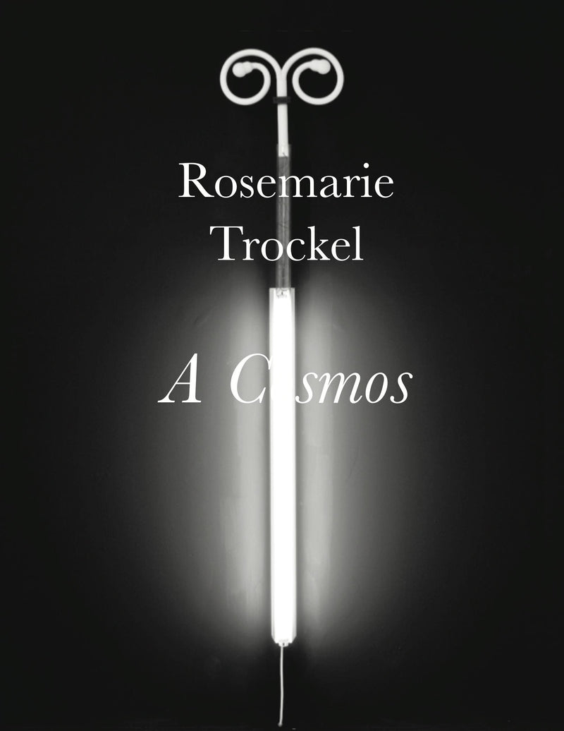 Rosemarie Trockel