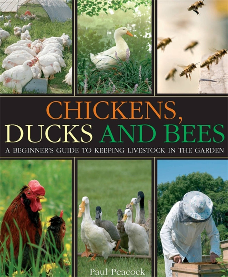 Chickens, Ducks And Bees A Beginners Guide