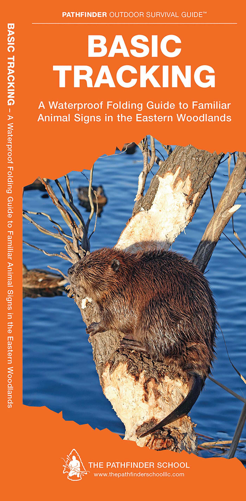 Outdoor Recreation and Survival