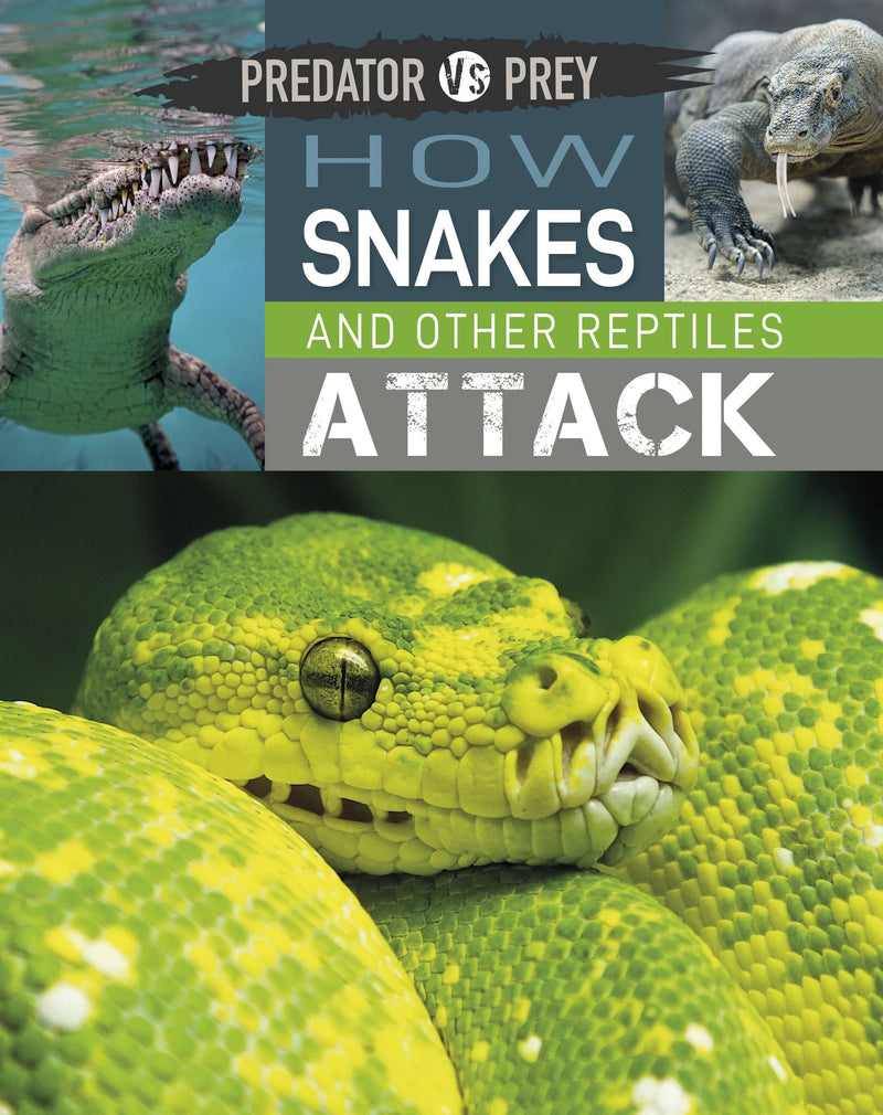 Predator vs Prey: How Snakes and other Reptiles Attack!