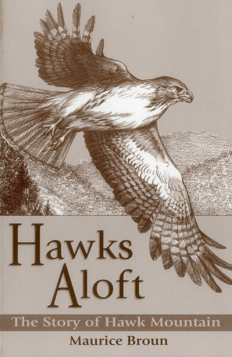 Hawks Aloft
