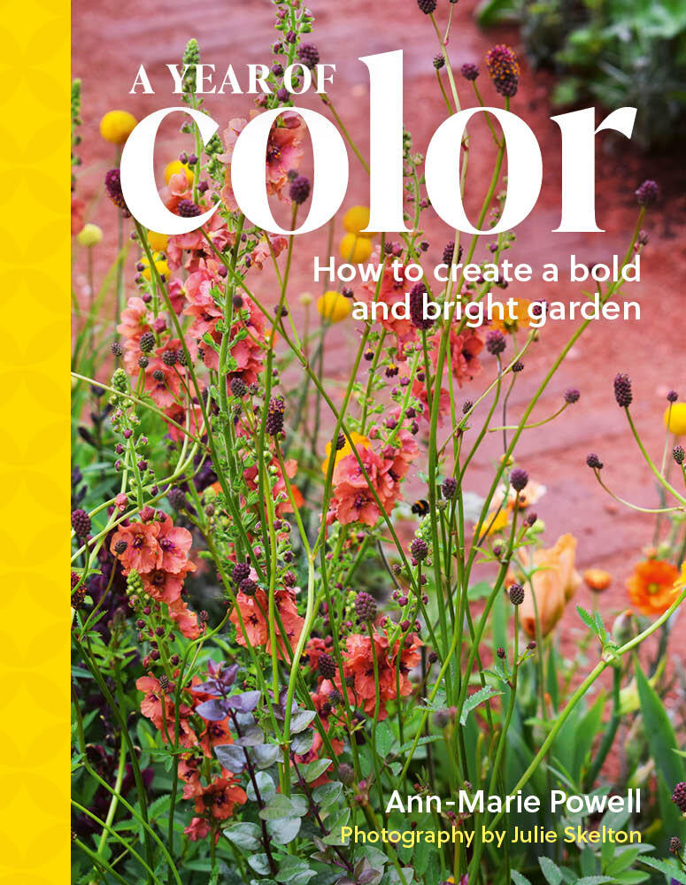 A Year of Color