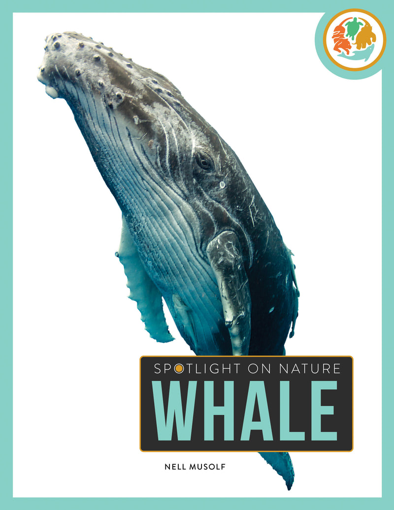 Whale