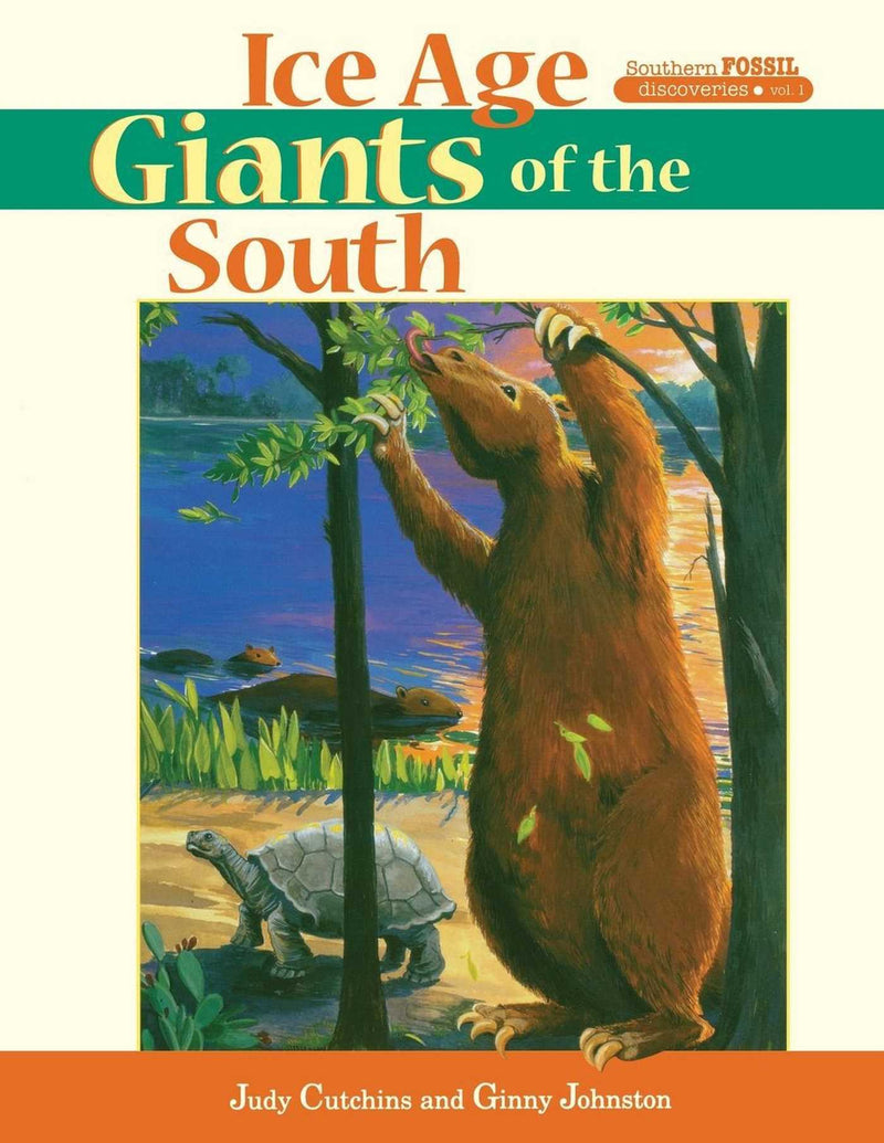 Southern Fossil Discoveries