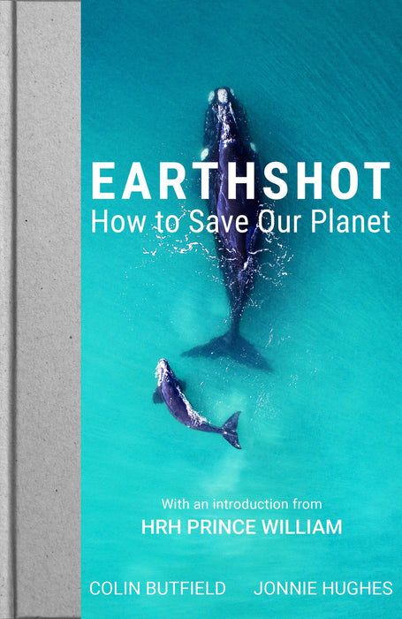 Earthshot