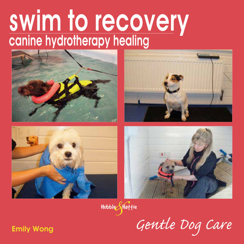Swim to Recovery