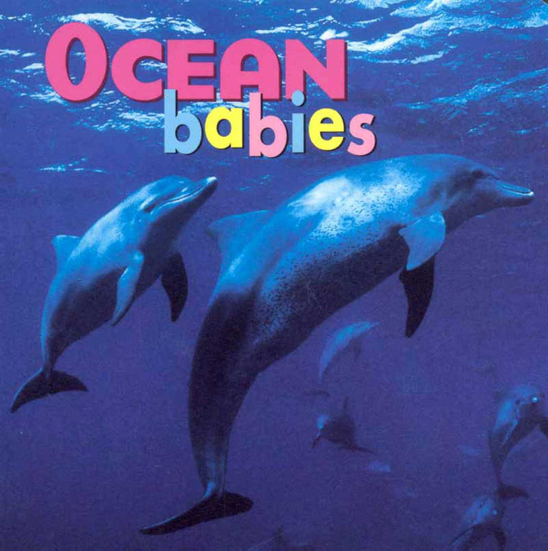 Animal Babies