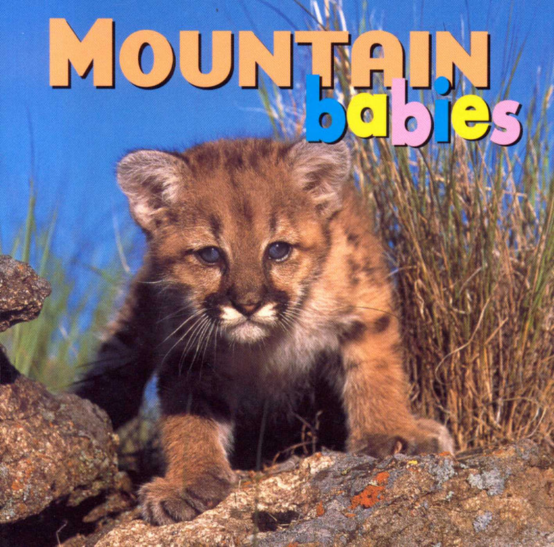 Animal Babies