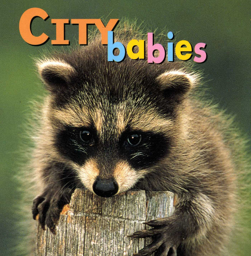 Animal Babies