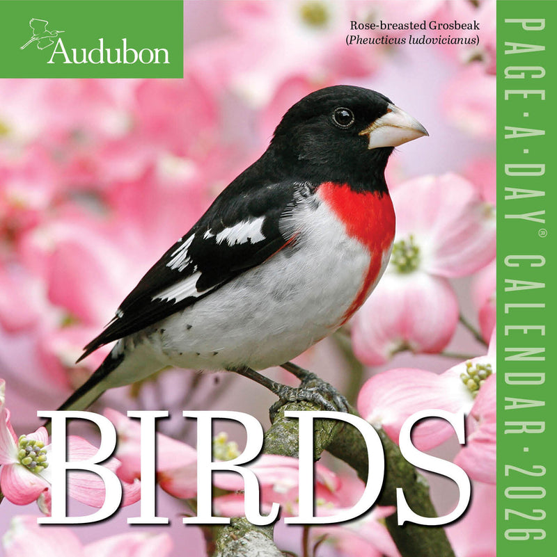 Audubon Birds Page-A-Day® Calendar 2026
