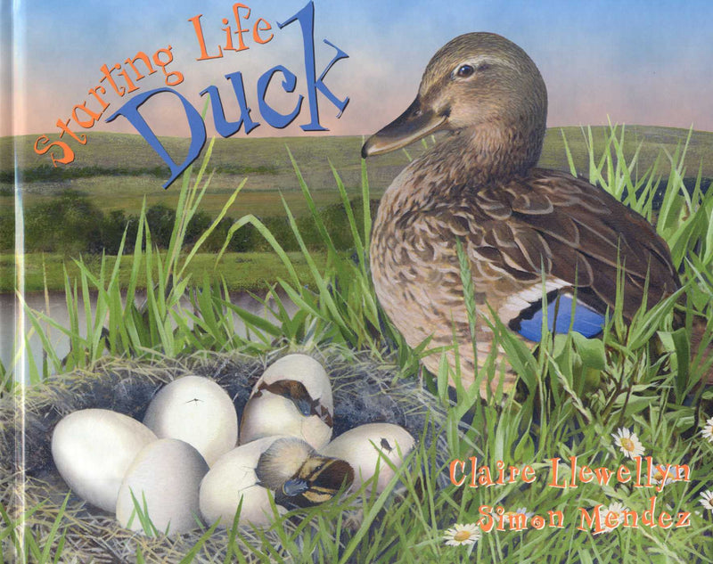 Starting Life
