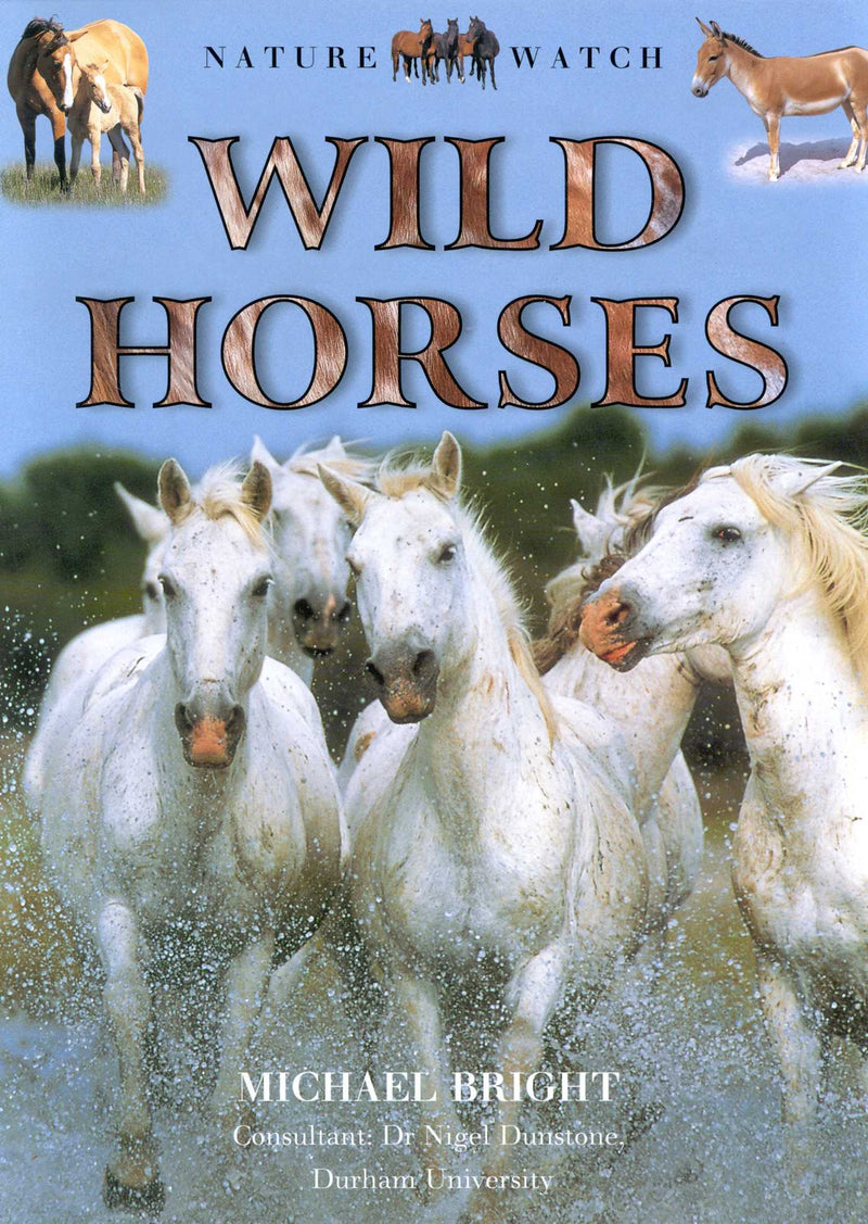 Our Wild World