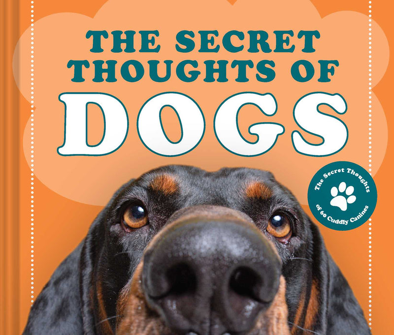 Secret Thoughts Series