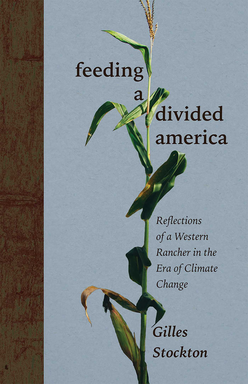 New Century Gardens and Landscapes of the American Southwest