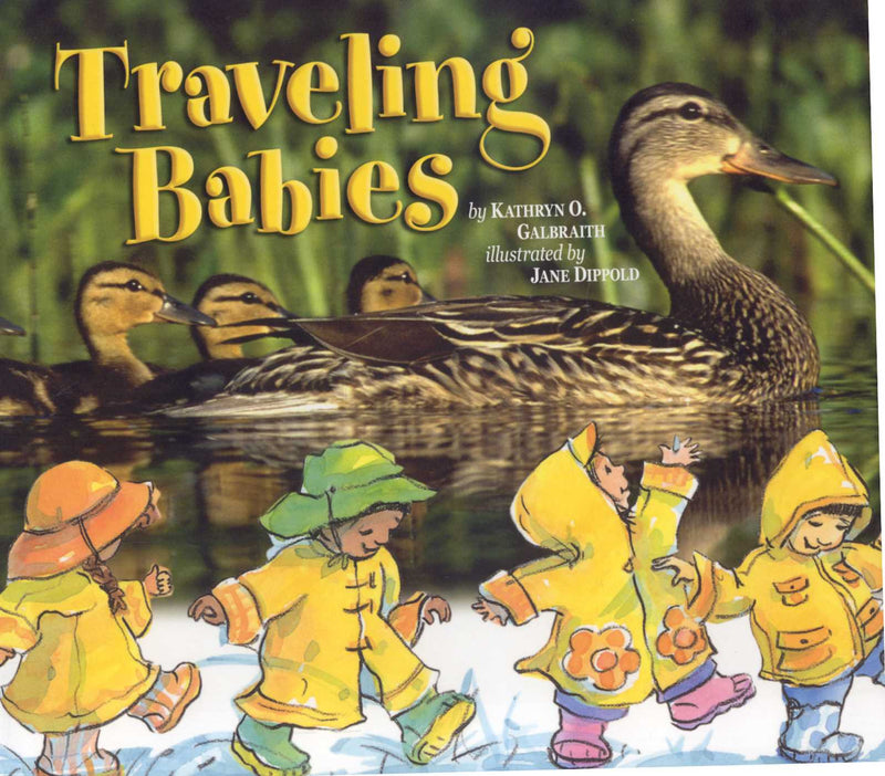 Animal Babies