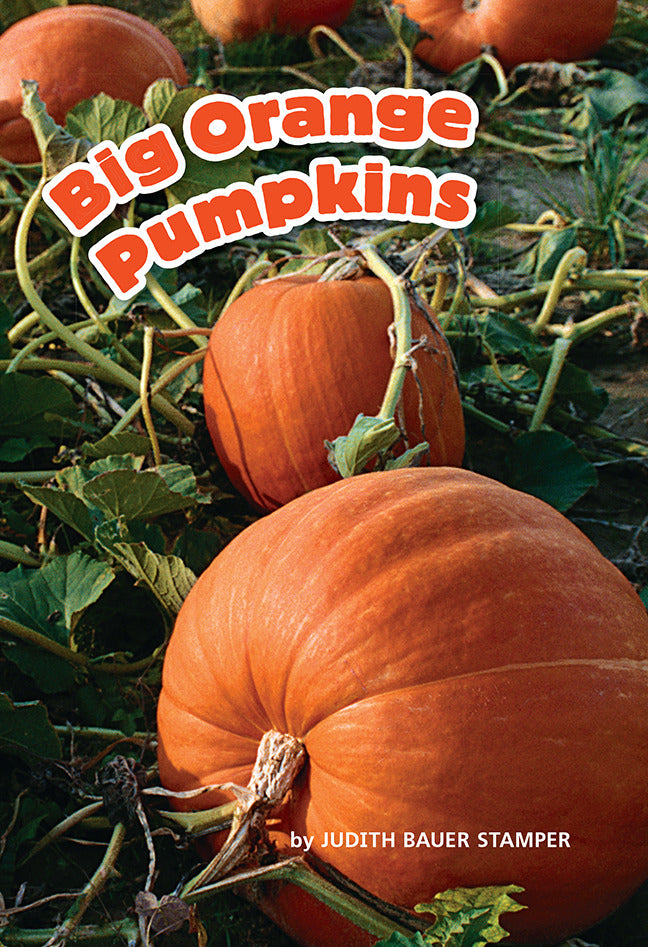 Science A Closer Look Big Orange Pumpkins 6 Copies