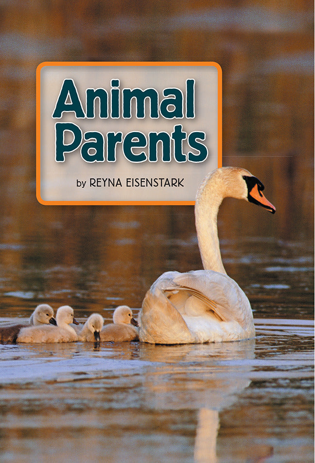 Science A Closer Look Animal Parents 6 Copies