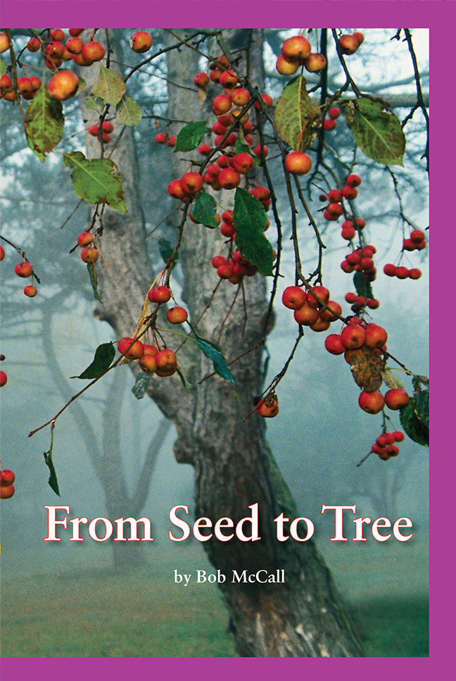Science A Closer Look From Seed To Tree 6 Copies