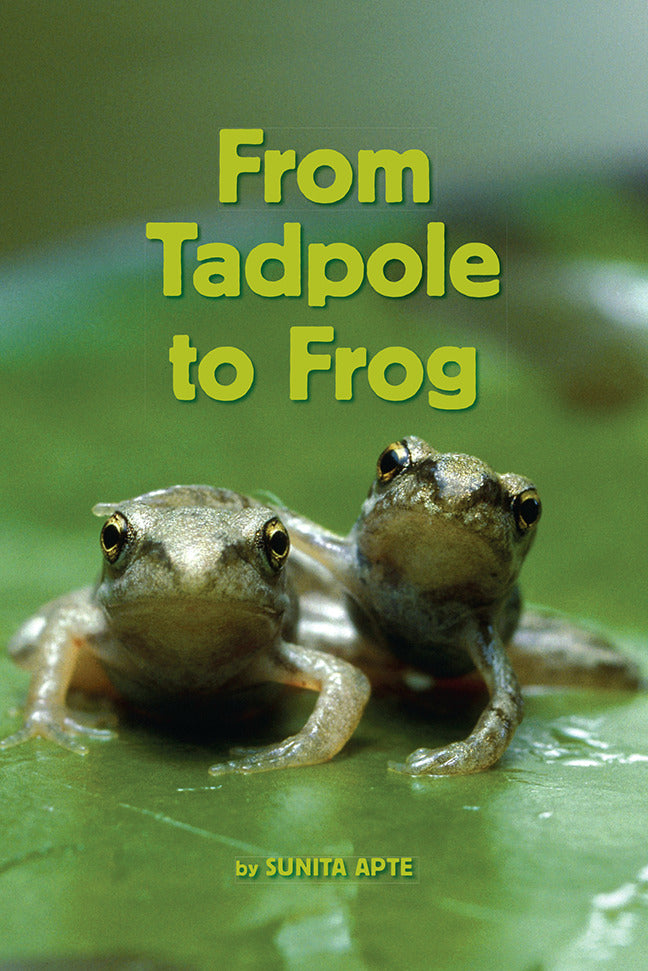 Science A Closer Look From Tadpole To Frog 6 Copies