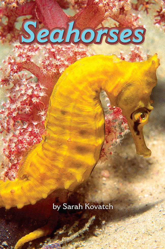 Science A Closer Look Grade 3 Leveled Reader Seahorses 6 Copies