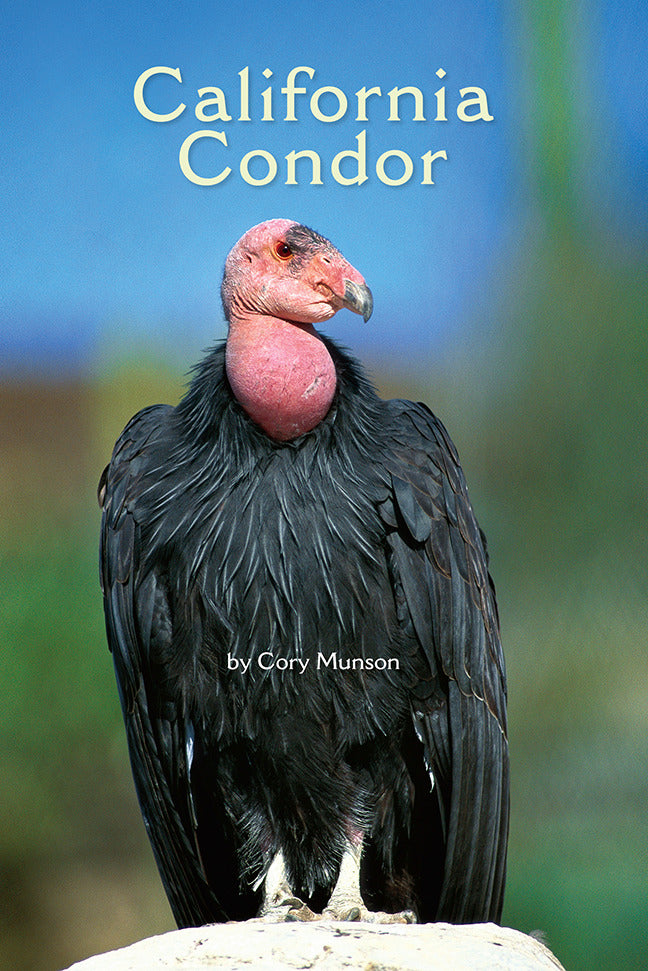 Science A Closer Look Grade 3 California Condor 6 Copies