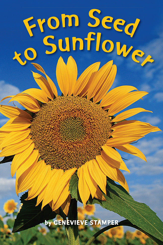 Science A Closer Look Grade K Ciencias Leveled Reader From Seed To Sunflower