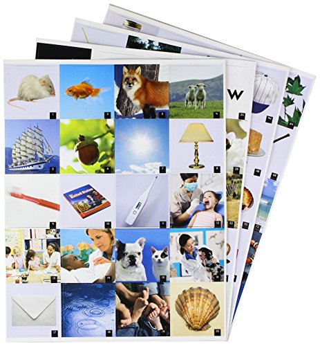 Level K Picture Magnets
