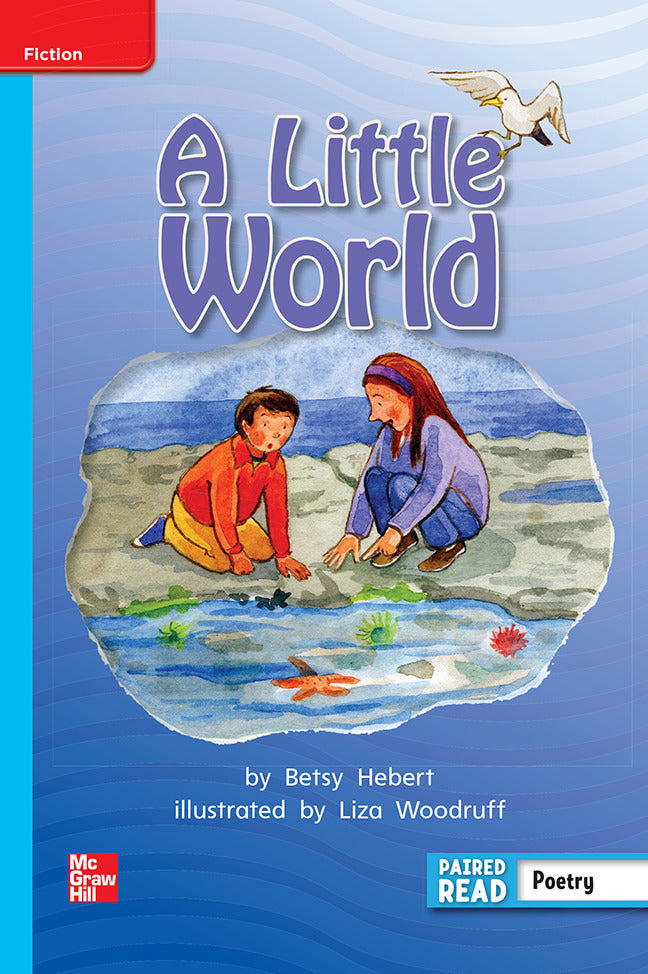 Reading Wonders Leveled Reader A Little World On Level Unit 4 Week 5 Grade 2