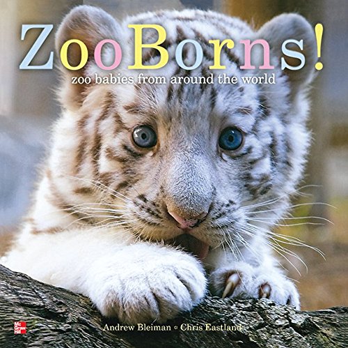 Reading Wonders Literature Big Book: Zoo Borns! Grade K (ELEMENTARY CORE READING) [Spiral-bound] McGraw Hill