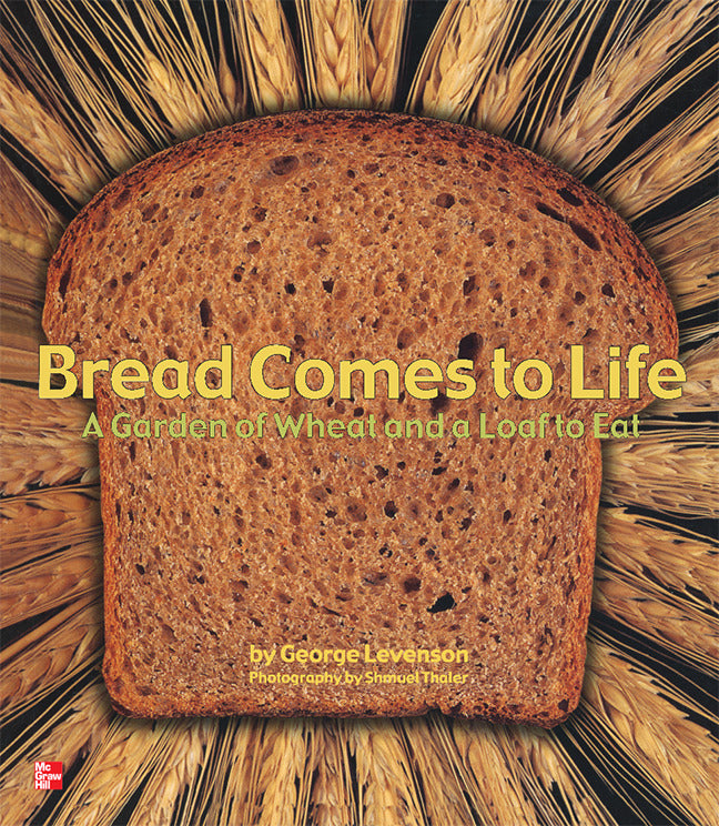 Reading Wonders Literature Big Book Bread Comes To Life Grade K