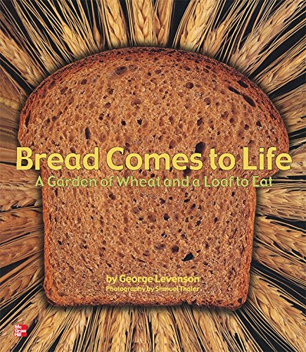 Reading Wonders Literature Big Book: Bread Comes to Life Grade K (ELEMENTARY CORE READING) [Paperback] McGraw Hill