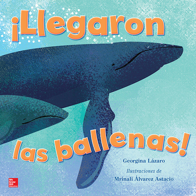 Lectura Maravillas Literature Big Book Llegaron Las Ballenas Grade K