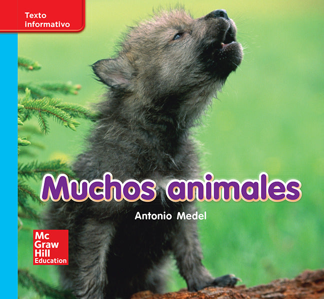 Lectura Maravillas Leveled Reader Muchos Animales On Level Unit 7 Week 1 Grade K