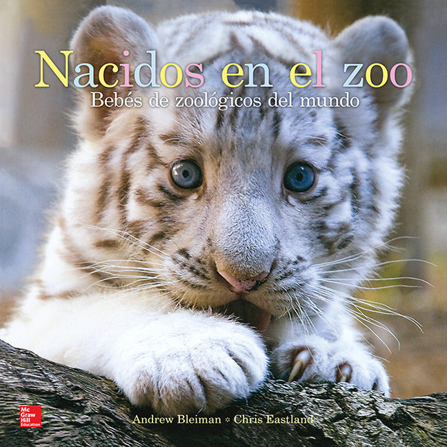 Lectura Maravillas Literature Big Book Nacidos En El Zoo Grade K