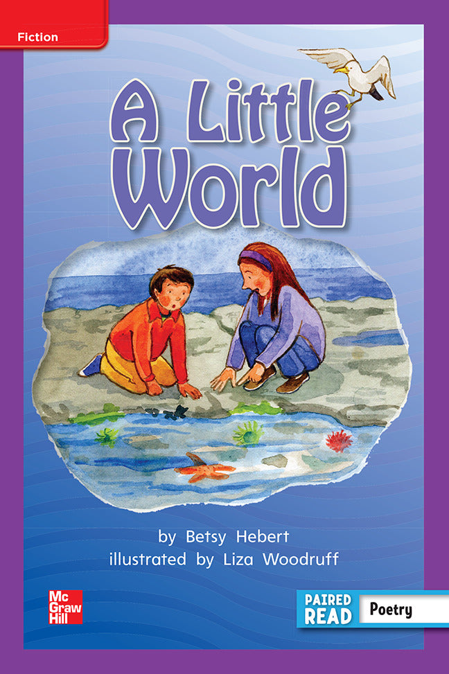 Reading Wonders Grade 2 Leveled Reader A Little World Ell Unit 4 6 Pack