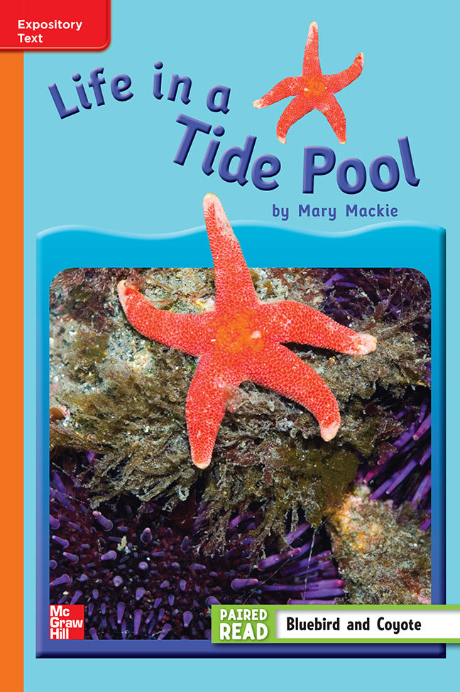 Reading Wonders Grade 3 Leveled Reader Life In A Tide Pool On Level Unit 4 6 Pack