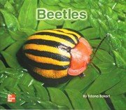 Beetles [Big Book] [Board book] Edana Eckart