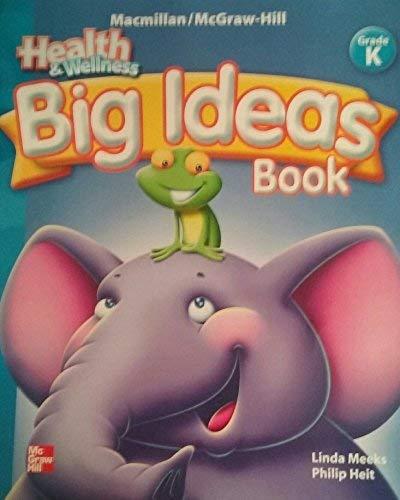 Big Ideas Book Kindergarten [Paperback] Linda Meeks