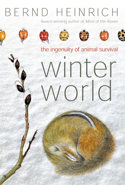 Winter World