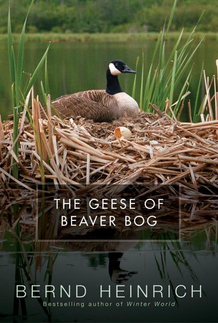 The Geese of Beaver Bog