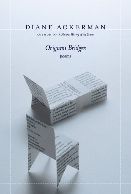 Origami Bridges
