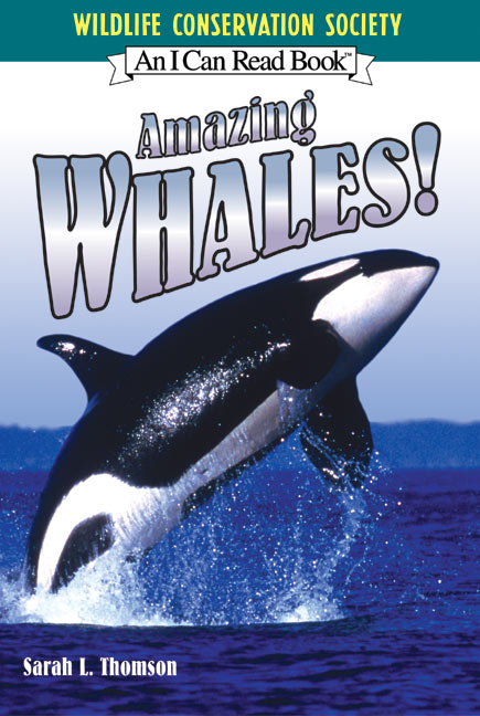 Amazing Whales!