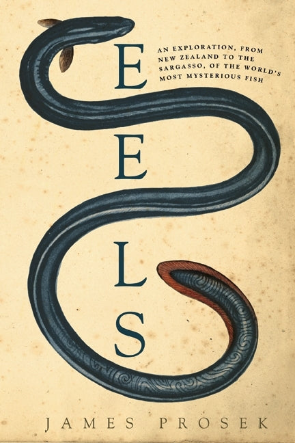 Eels