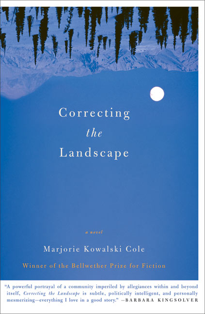 Correcting the Landscape
