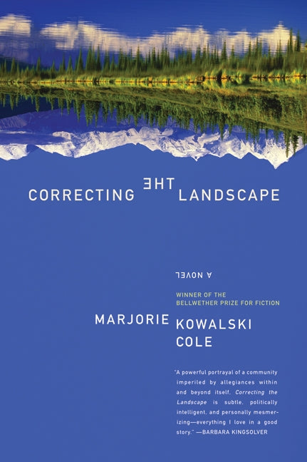 Correcting the Landscape